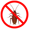 Cockroach Control Croydon