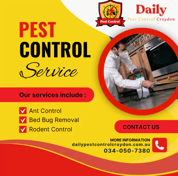 Pest Control Croydon